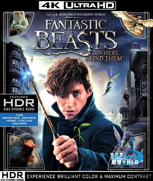 UHD102.Fantastic Beasts and Where to Find Them 2016 4K UHD (40G)